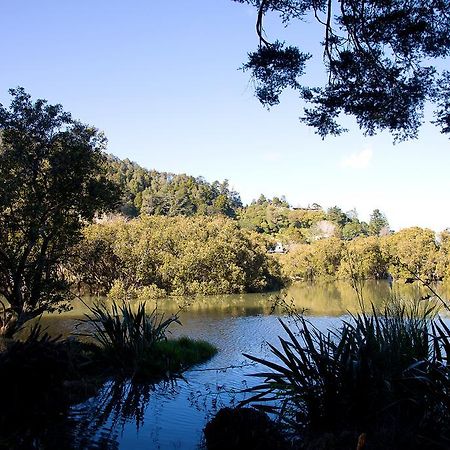 By The Park B & B Whangarei Eksteriør billede