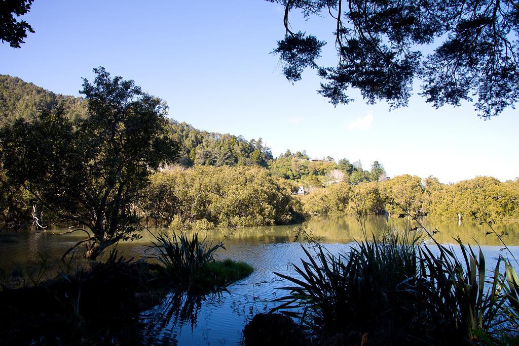 By The Park B & B Whangarei Eksteriør billede