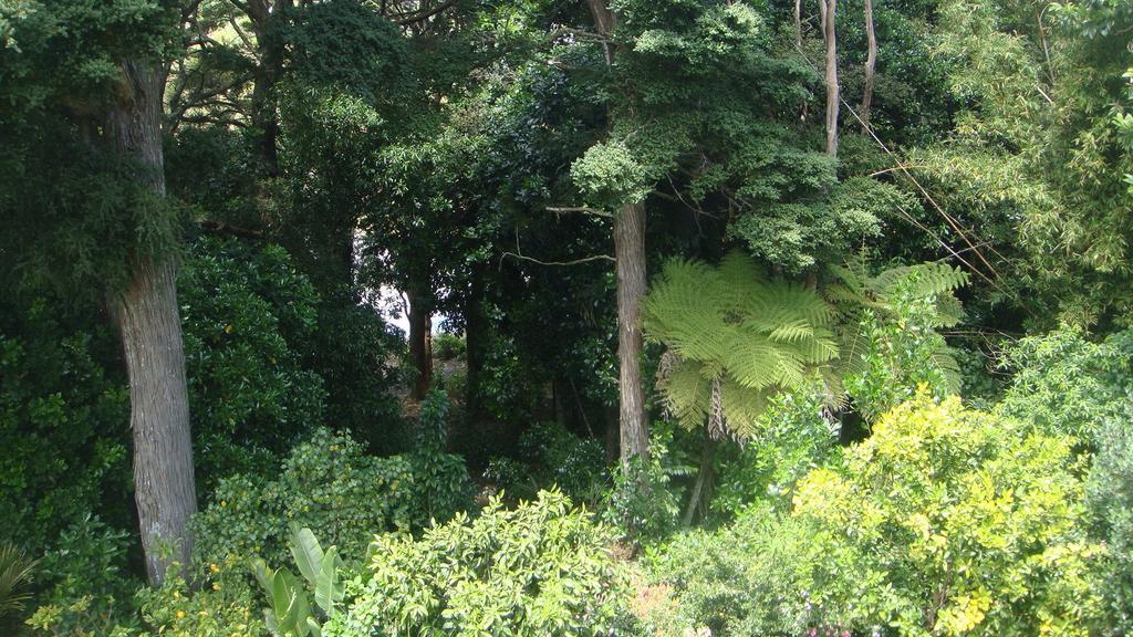 By The Park B & B Whangarei Værelse billede